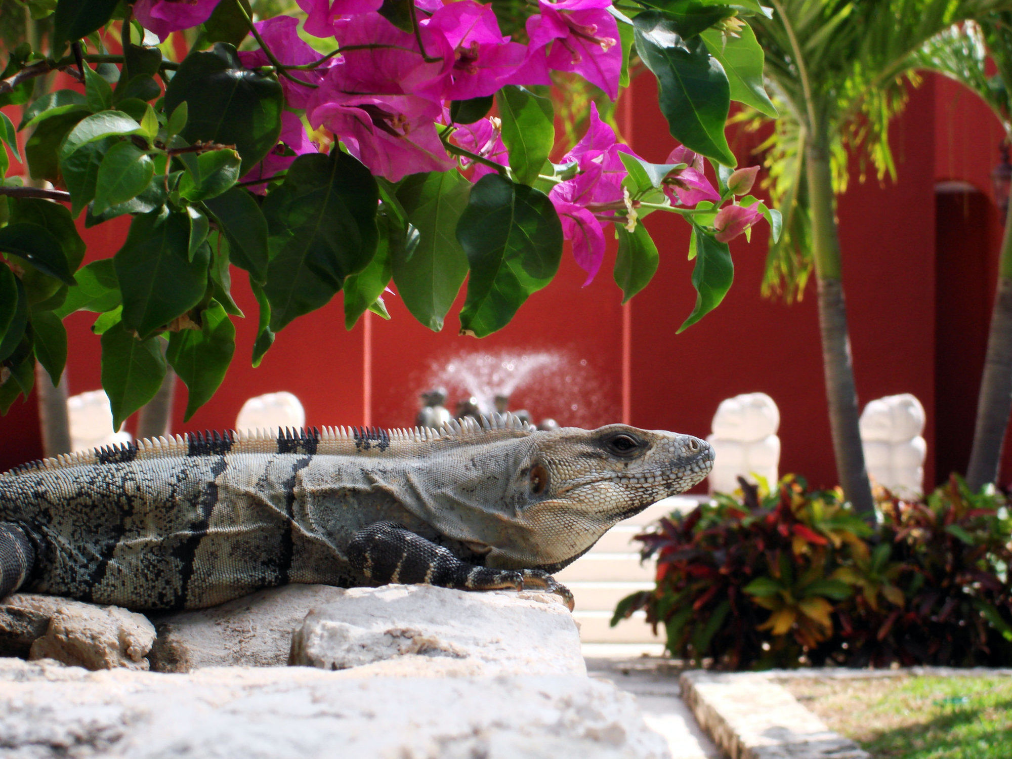 Paraiso De La Bonita Adult All-Inclusive, A Luxury Collection Resort Puerto Morelos Fasilitas foto